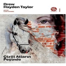 TeknoKapsül Çizili Atların Peşinde