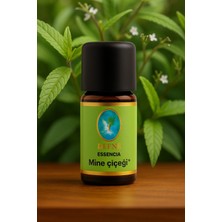 Nuka Defne Esencia Mine Çiçeği* Organik %100 Saf Uçucu Yağ 5ml