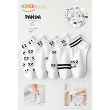 Color Socks 5 Çift Beyaz Panda Desenli Yarım Kolej Kadın Çorap Seti