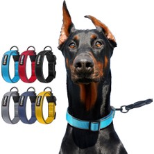 Duomm Yüksek Kalite Köpek Tasması Karabinalar ve Reflektörlü