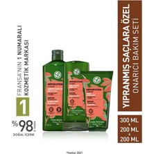 Yves Rocher Yıpranmış Saçlar İçin Onarıcı Prebiyotik 3’lü Set Şampuan Krem Maske Nemlendirici Vegan Bakım