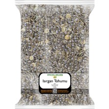 Zencefil Organik Isırgan Tohumu 500 Gr.