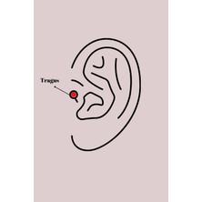 Shopwave 316L Çelik Gümüş Renk Pembe Zirkon Taşlı Sallantı Yıldız Detay Tragus Piercing - TJ-PR1237