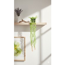 Mtemin Yapay Çiçek Saksıda 80 cm Yoğun Yapraklı Yeşil Okaliptus Sarkıt - Taş Yanında Hediye