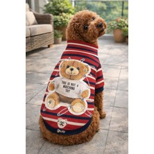 Miniş Toy Teddy Esnek, Küçük Köpek Triko Sweatshirtü