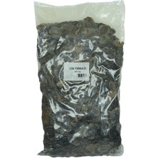 TeknoKapsül Cin Tırnağı 1000 gr Paket