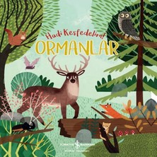 TeknoKapsül Ormanlar - Hadi Keşfedelim!
