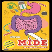 TeknoKapsül Süper Mide ve Sindirim Sistemi