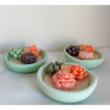 Violet Candle Decor 3'lü Mini Sukulent Mum