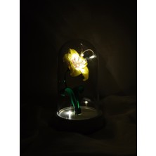 Kibele Sanat Dekoratif Ledli Rapunzel Zambağı Teraryum Fanus, Hediyelik Fanus, Işıklı Hediyelik