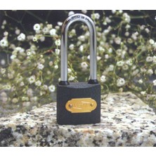 Ayder Timya Gri Döküm Uzun Kancalı Asma Kilit 38MM TG/TMYA1395 213744