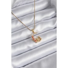 Ayder Timya 316L Çelik Gold Renk Hilal Kedi Model Zirkon Taşlı Detay Kadın Kolye - TJ-BKO8140 TG/Tmya1395 211503