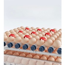 EPO-W64 Tam Otomatik Kuluçka Makinesi 64 Yumurta Kapasiteli Civciv Kaz Ördek Uyumlu + Yedek Motor ( Lisinya )