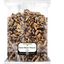 Zencefil Organik Deve Dikeni Tohumu 1 kg Milk Thistle