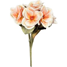 Lara Decor Somon 7'li Manolya Demeti