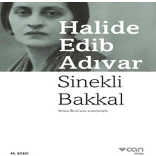 TeknoKapsül Sinekli Bakkal