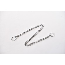 Pet Luxe Krom Zincir Köpek Boyun Tasması Small