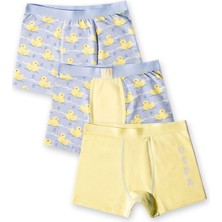 U.S. POLO ASSN U.S Polo Assn Erkek Çocuk Sarı İç Giyim