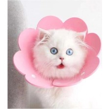 Paticimiss Keçe Elizabeth Yakalığı / Kedi Köpek Koruyucu Boyunluk