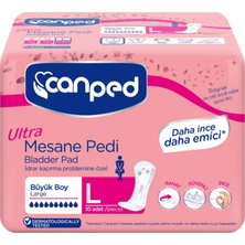 Canped Ultra Mesane Pedi Büyük 10'lu 3 Adet