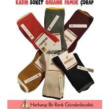 Mısırlı 70002 Kadın Pamuk Soket Çorap