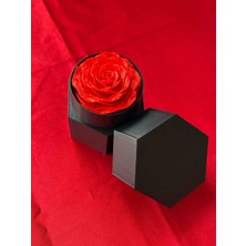 Sfenks. Altıgen Siyah Takı Kutusu – Şık & Minimal Tasarım – Kolye Bileklik Yüzük Saklama Kutusu