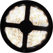 Cata 10 Çi̇p Şeri̇t LED Iç Mekan (Beyaz) 5mt/adet Cat CT-4480