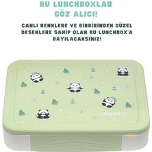 Storemax Bento 1330ML Lunchbox Tek Katlı 5 Bölmeli Pp Plastik Çocuk Sefer Tası Yemek Kutusu (Yeşil)