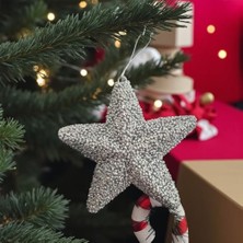Storemax Yılbaşı Ağaç Süsü 15CM Luks Yıldız Gümüş AST7214