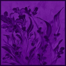 Maisa Buğu Mulberry Ipek Eşarp