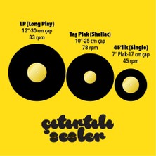 Storemax Çıtırtılı Sesler 45'lik (7") Plak Zarfı (20 Adet)