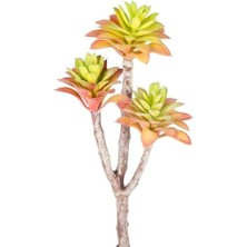 Storemax Yapay Kaktüs Sukulent Kırmızı/yeşil 35 cm