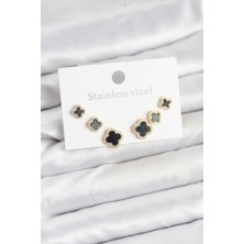 Maarketim 316L Çelik Zirkon Taşlı Yonca Model Kadın Küpe Seti