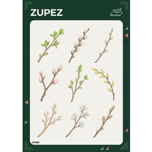 Zupez Botanik Dallar Temalı Ütüyle Uygulamalı Premium Kumaş Transfer ZPZ081