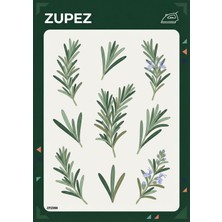Zupez Biberiye Botanik Desenli Ütüyle Uygulamalı Premium Kumaş Transfer Baskı