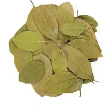 Baltea Sidr Yaprağı 25G