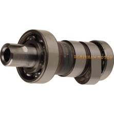 OEM Bajaj Pulsar NS200 Eksantrik Mili Çift Yivli Orjinal