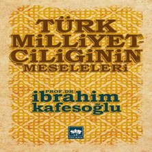 Bilfold Türk Milliyetçiliğinin Meseleleri