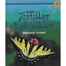 Bilfold Ilk Okuma - Tırtıllar ve Kelebekler