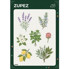 Zupez Botanik Çiçek Bitki Desenli Ütüyle Uygulanabilir Premium Kumaş Transfer