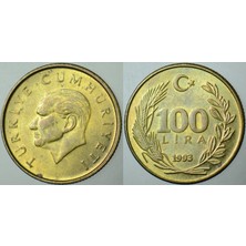 Banknoting Ürkiye Cumhuriyeti 100 Lira 1993 Az Çıkan Tarih. Çilaltı