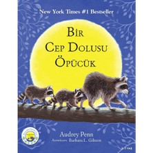 Bright Starts Cesur Minik Rakun