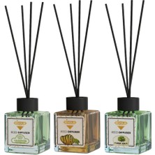 Rivola 3'lü Set Premium Oda Kokusu Mango - Sandal Ağacı - Yasemin Reed Diffuser – Uzun Süre Kalıcı Koku – Bambu Çubuklu Ev, Ofis, Banyo Ortam Kokusu