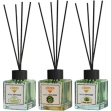 Rivola 3'lü Set Premium Oda Kokusu Yasemin - Hanımeli - Sandal Ağacı Reed Diffuser – Uzun Süre Kalıcı Koku – Bambu Çubuklu Ev, Ofis, Banyo Ortam Kokusu