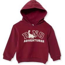 Hellobaby Hellobaby, Erkek, Kapüşonlu Sweatshirt, Dinozor Baskılı, Kapüşonlu, Uzun Kol