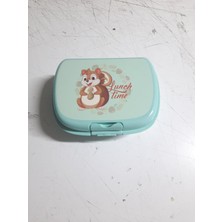 Marsilyan Beslenme Kabı  Diyet Kabı Karışık Renk