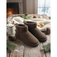 Slipcat Classıc Ultra Mini Platform Chestnut Mini Taba Süet Içi Kürklü Ince Taban Kadın Bot