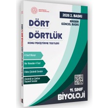 Karakutu Yayınları 2026 Mebi-Ogm 11. Sınıf Dört Dörtlük Biyoloji Pekiştirme Testi A4 Renkli Soru Bankası Baskı Ücreti