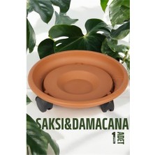 Marsilyan Turk Tekerlekli Saksı Altığı 37 cm Kahve