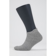 Airlife Sportswear Erkek Patik Boy Çorap 3'lü Set Gri